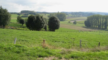 OP STAP MET STONES & STORIES